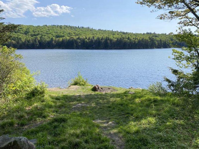 A photo of facility Grout Pond Campground with Waterfront