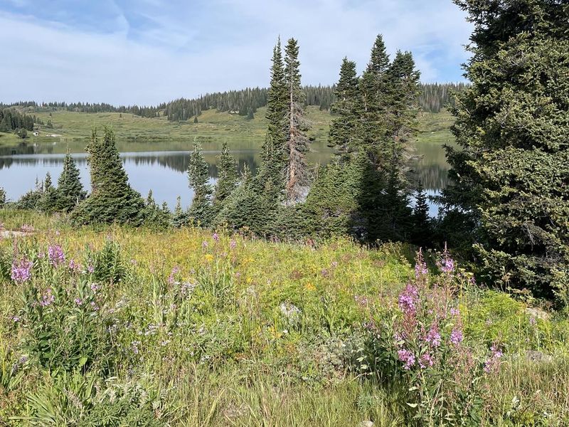Deep Lake from Deep Lake Campground