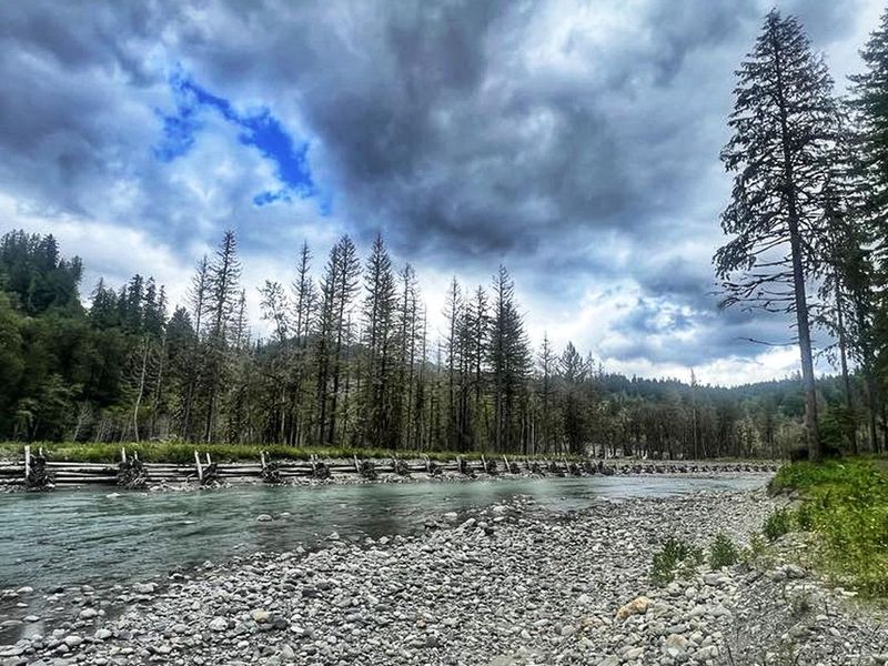 Gold Basin Campground