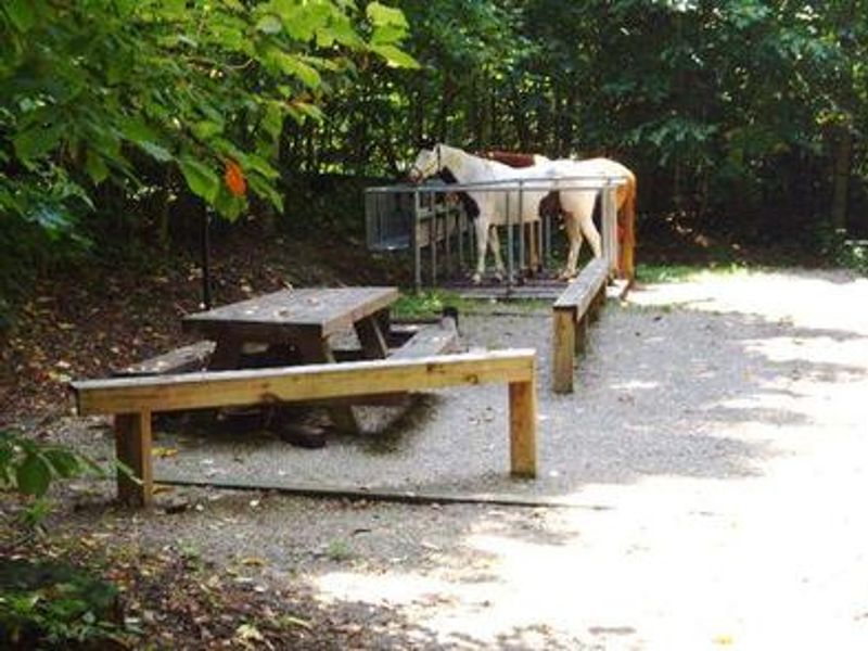 horse site 