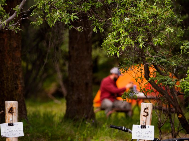 Campsites in Igloo Creek have some brush screening between sites.