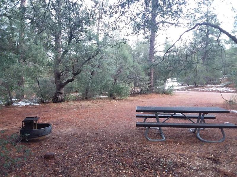 Timber Camp Rec. Area And Group CG