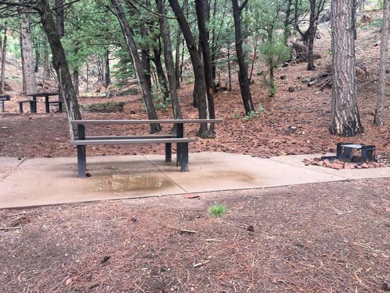 Table and grill in group site