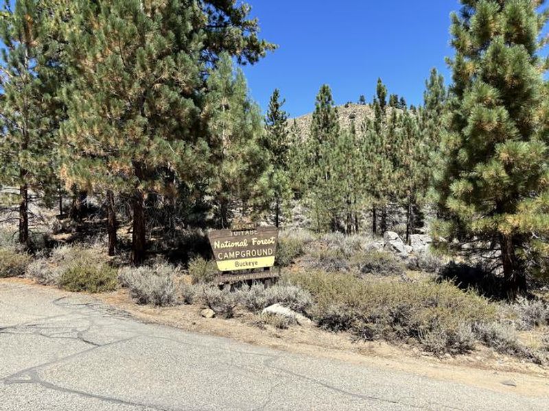 A photo of facility Buckeye with Picnic Table, Fire Pit, Shade, Tent Pad