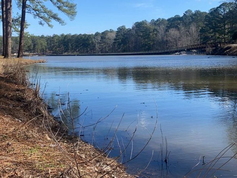 Please use situational awareness when walking around the lake. The wildlife is out!