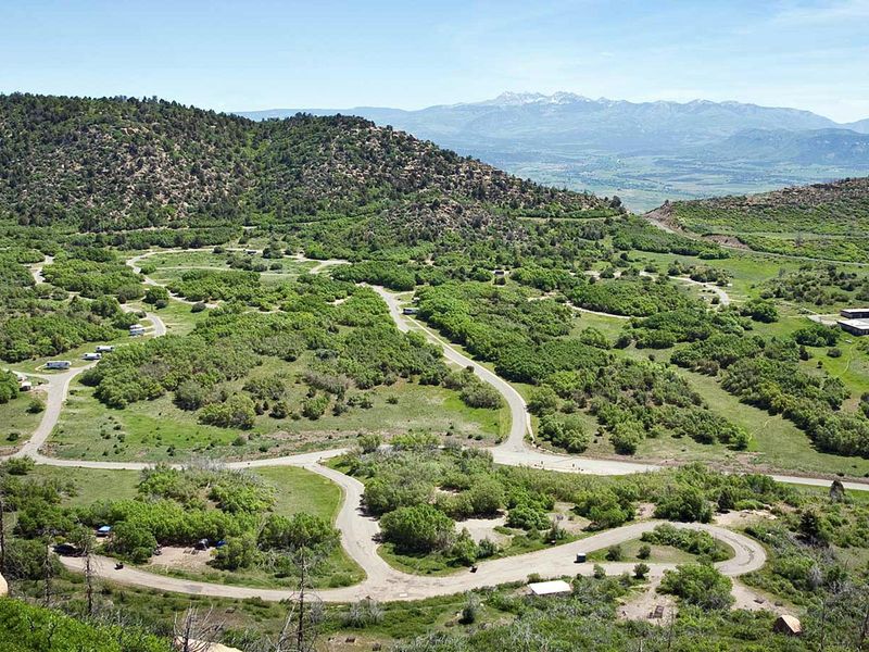 Morefield's campsites are situated on loop roads that extend through a high grassy canyon filled with Gambel Oak scrub, native flowers, deer, and wild turkeys.