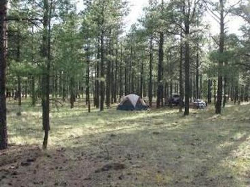 Benny Creek Group Area