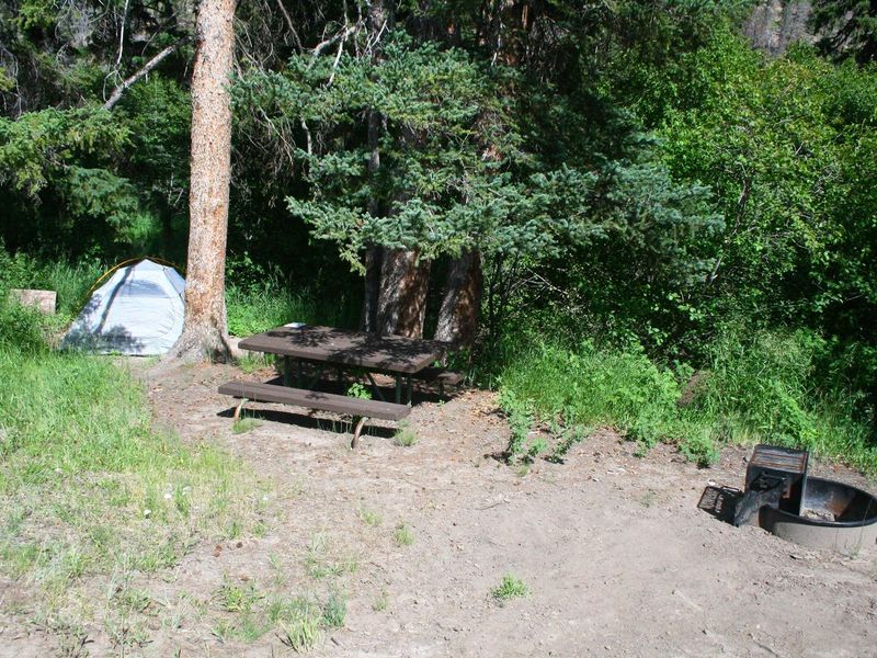 Slough Creek Campground Site #9