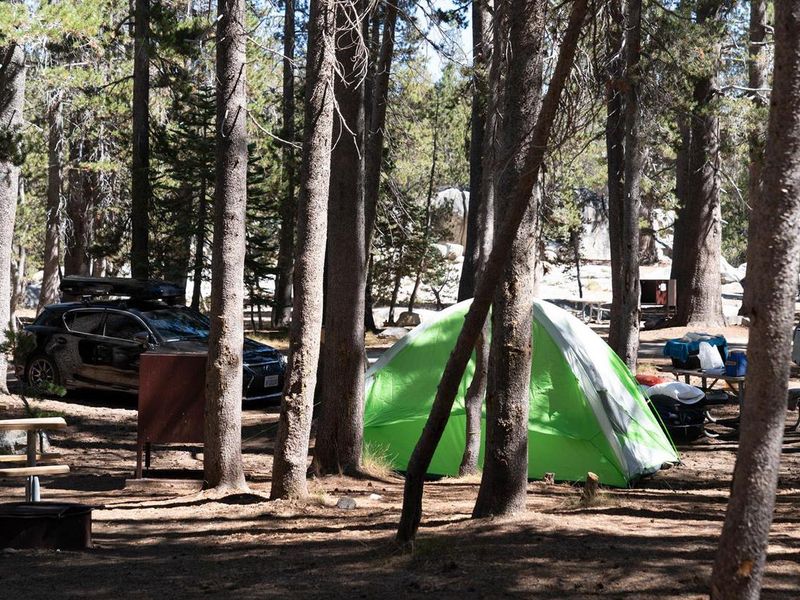 Tent site at White Wolf campground