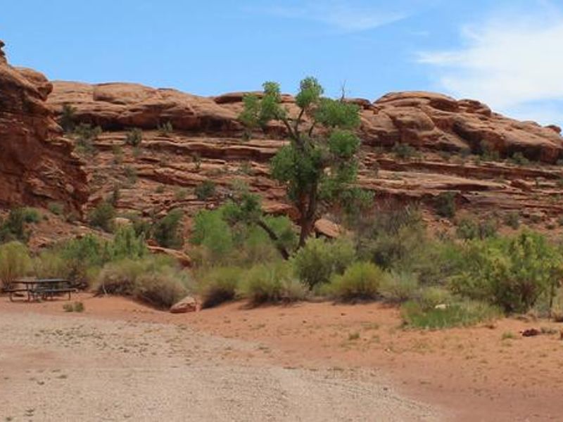 Indian Creek Falls Group Site