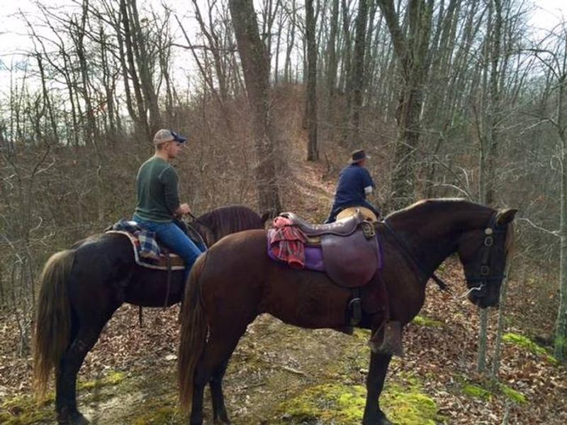 Horseback riders enjoy the fall mountain air during their ride at Dewey Lake.