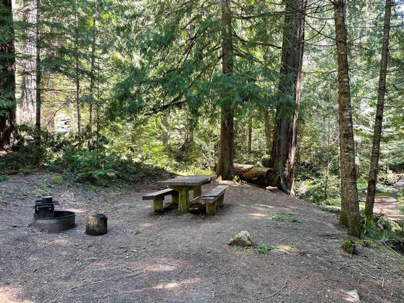 The sites in the campground are small, with each well shaded by surrounding trees and containing a table and fire ring.