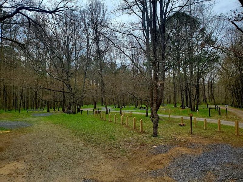 Wide angle view of Cottonwood Patch Campground.