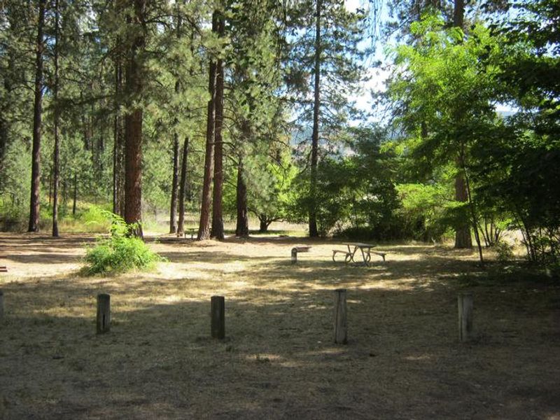 Haag Cove Campground trees in the background