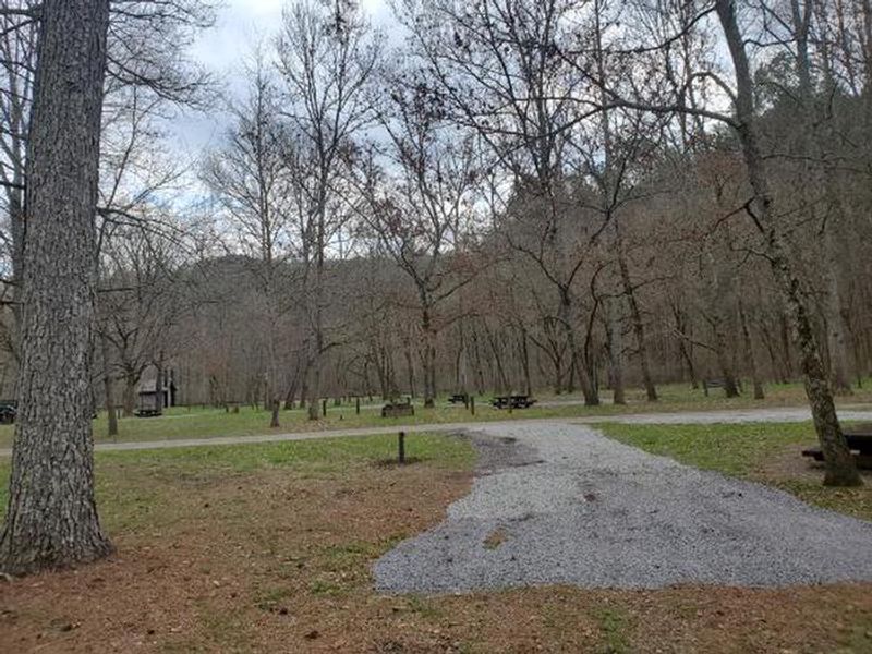 A photo of facility Cottonwood Patch Campground 
