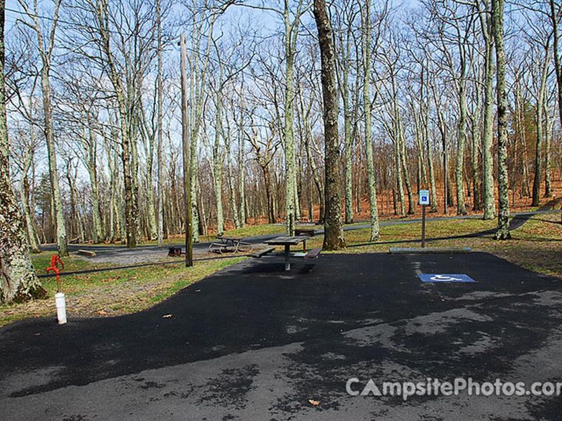 Lewis Mountain Campsite #4