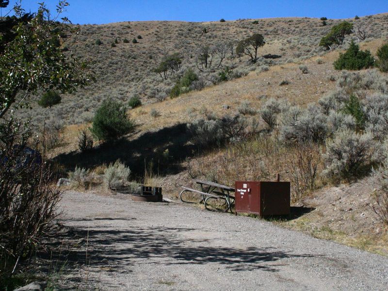 Mammoth Campsite #47