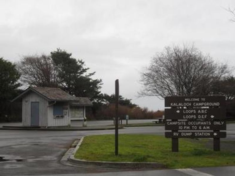 Entrance to Kalaloch