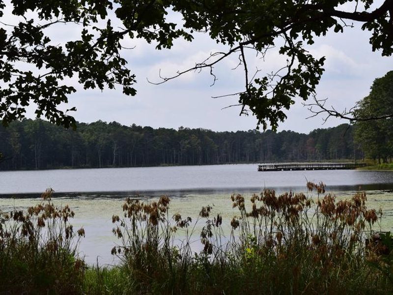 View from picnic area of Pinewoods Lake