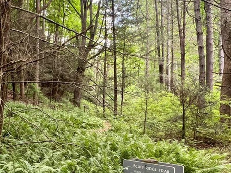Bluff Ridge Trail Nearby