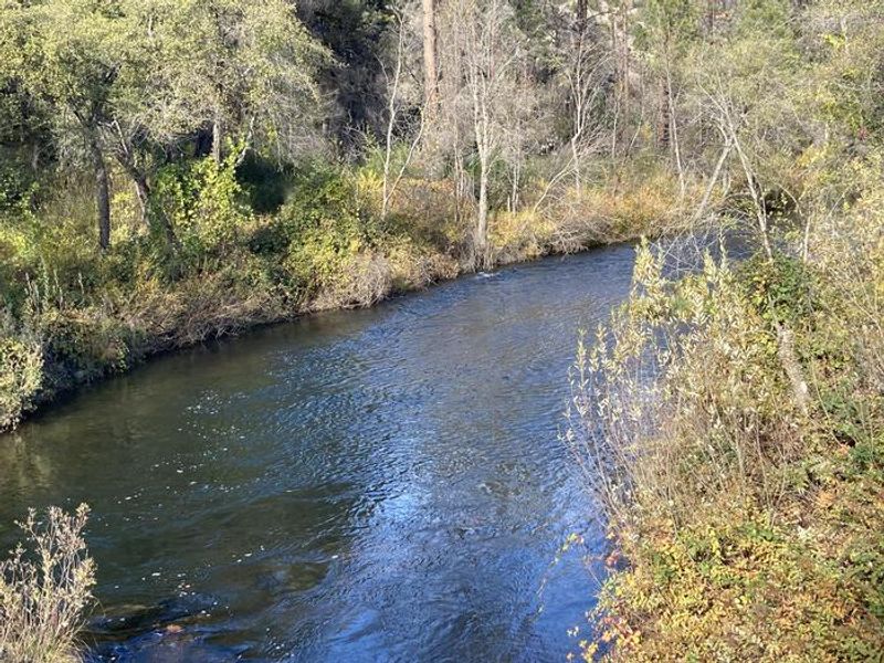 View from Peltier Bridge