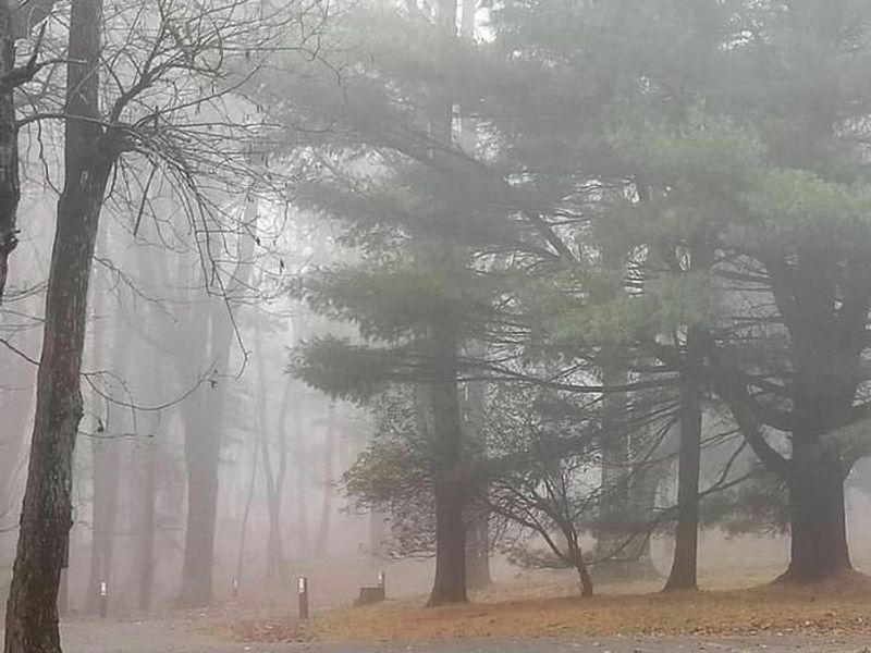 The quiet peacefulness of a fog-shrouded day.