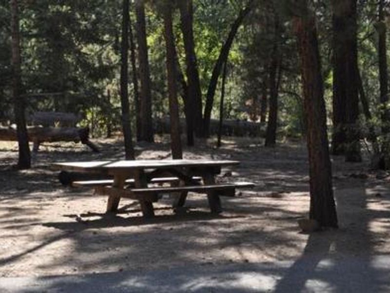 Shade & Picnic Tables of the San Gorgonio Campground