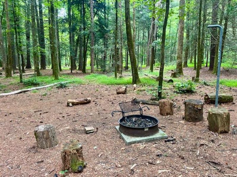 Campsites at Basin Cove Backcountry Camping