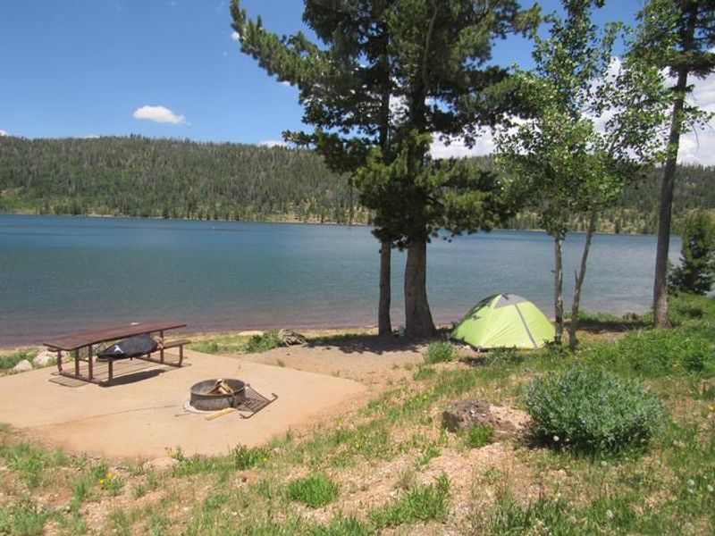 Navajo Lake View