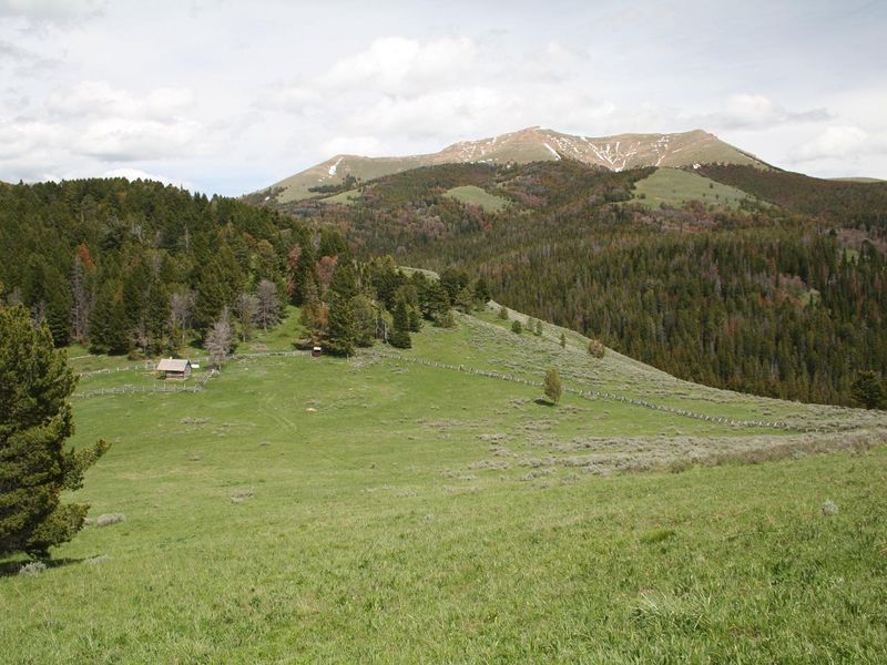 cabin and Antone Peak