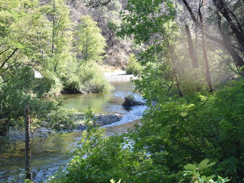 Clear Creek at Peltier Bridge Campground 2