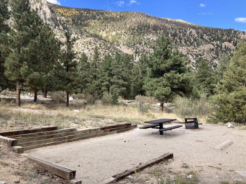Photo of campsite at Mt. Princeton Campground.