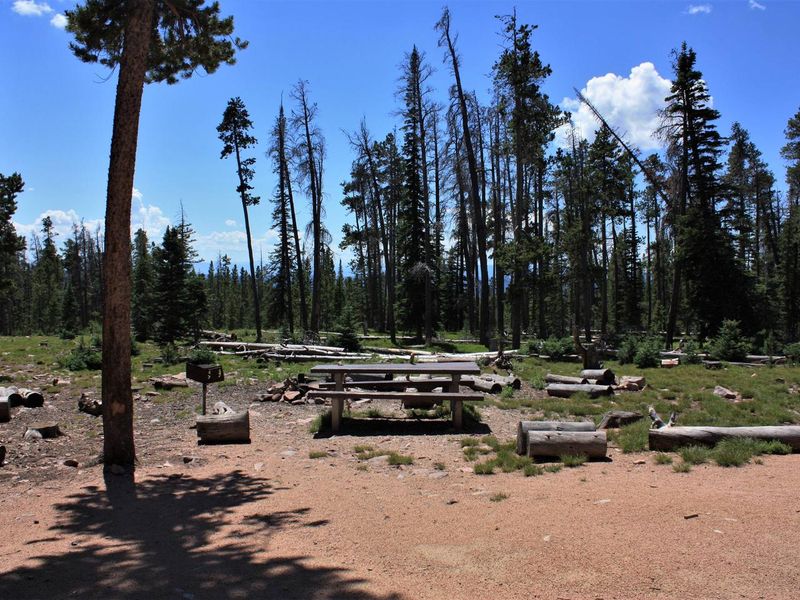 Spruce Mountain Fire Lookout Tower picnic area and fire pit