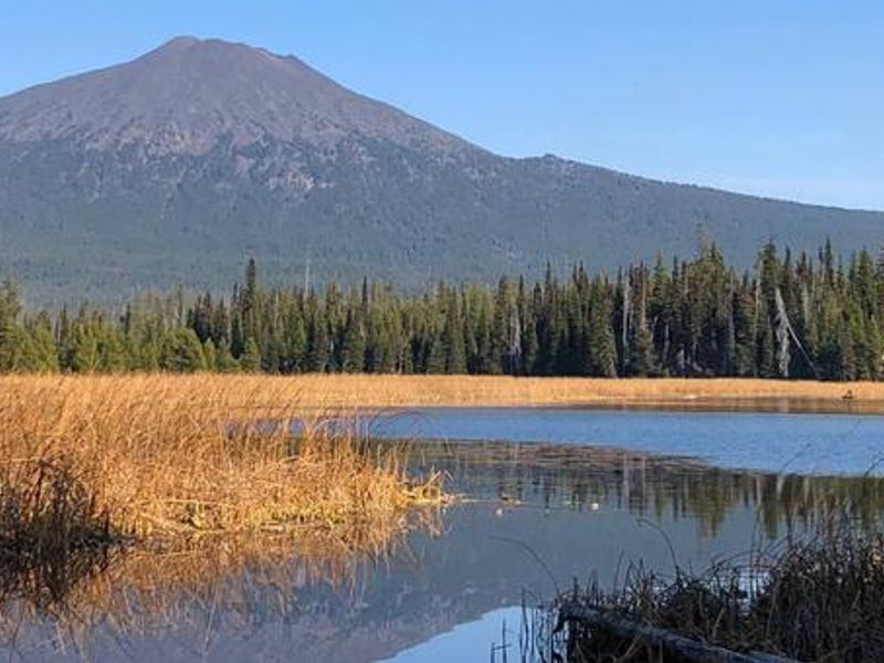 Mt. Bachelor from Hosmer Lake