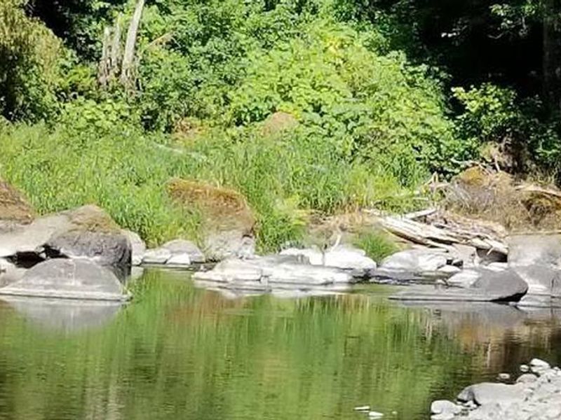 Rocky Bend Group Campground on the banks of the Nestucca River