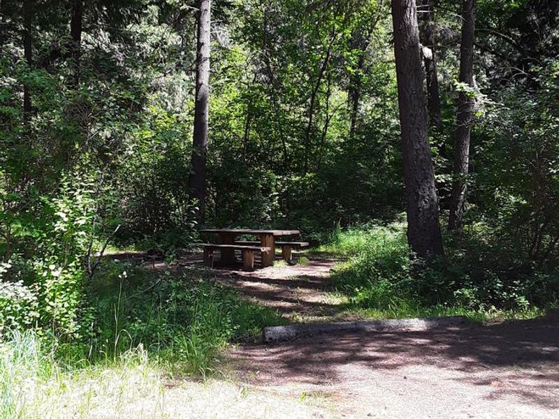 Trout Creek Campground