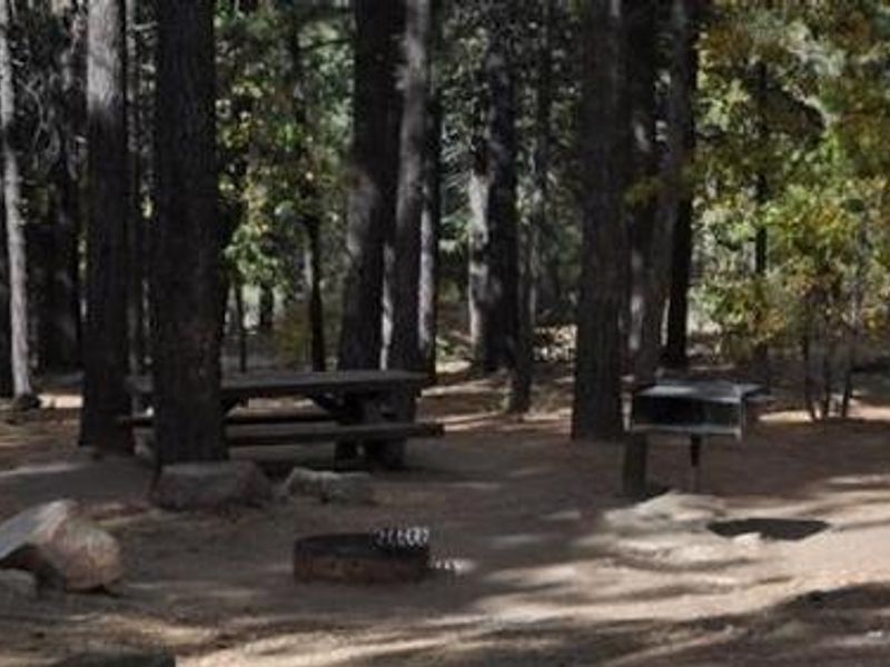 Naturally Shaded Picnic Tables, Fire Ring and BBQ Grill at Pineknot Campground