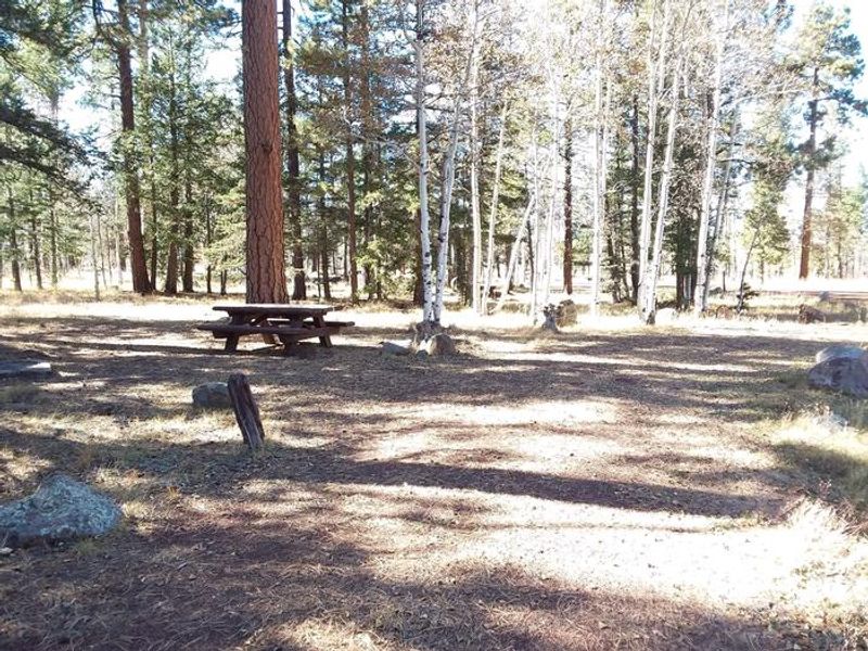 WINN Campground Site 4