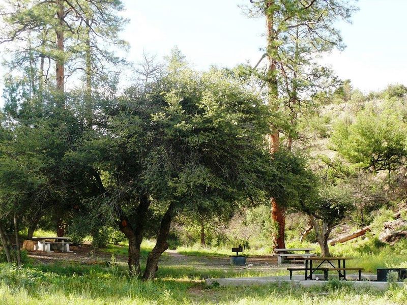 Lower Scorpion Campground