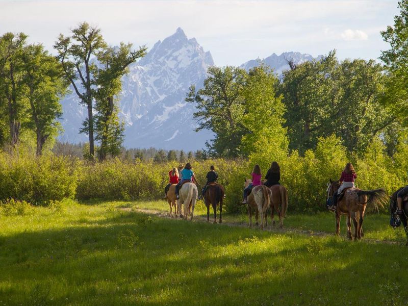 No trip to the Old West is complete without a horseback ride. We offer one- and two-hour rides suitable for all experience levels. Take in beautiful Teton vistas while riding among wildflower meadows.