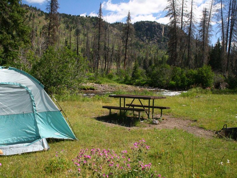 Slough Creek Campground Site #5