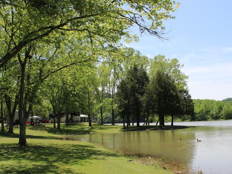 Salt Lick Creek Park