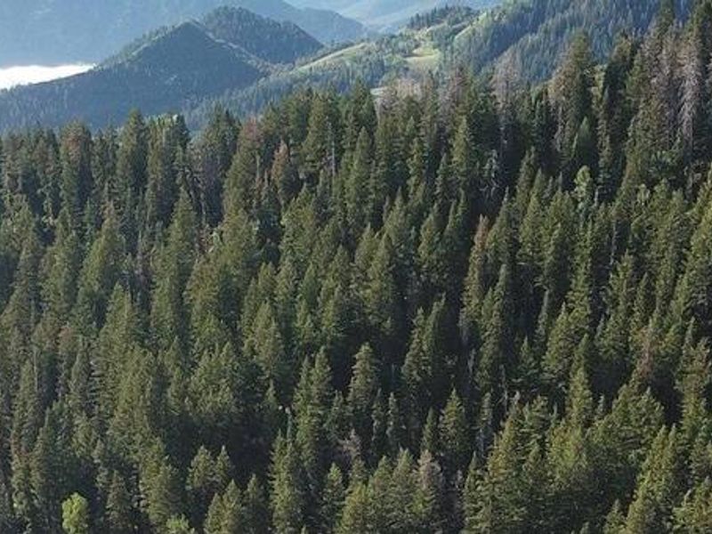 Mt. Timpanogos Campground