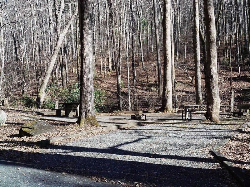 Campsite 9 is a double site with two parking areas and double the tables, pads, and camping next to the creek together