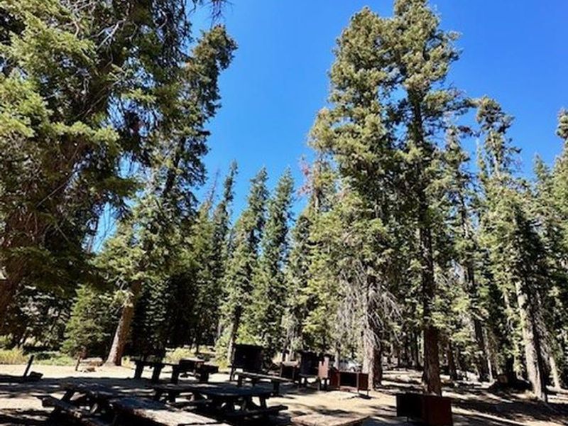 Picnic Table area
