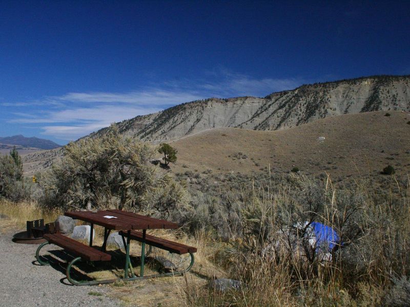 Mammoth Campsite #12