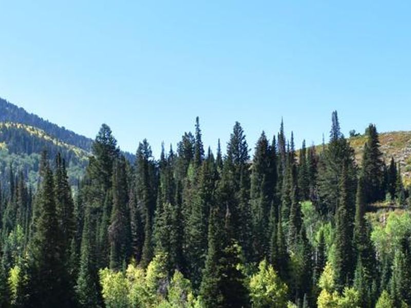 Big Cottonwood Canyon