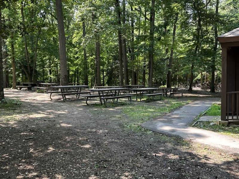 Enjoy a company or family picnic in the beautiful outdoors of Greenbelt Park. 