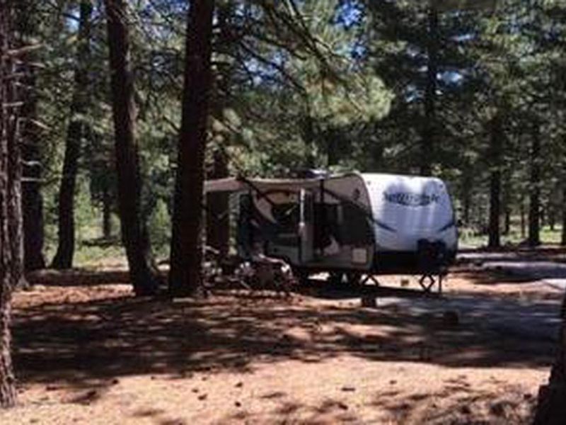 Grizzly CG Trailer in Site