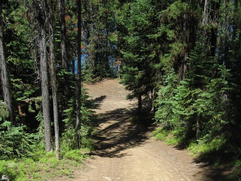 Olive Lake Loop Trail